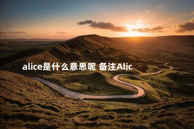 alice是什么意思呢 备注Alice是什么意思